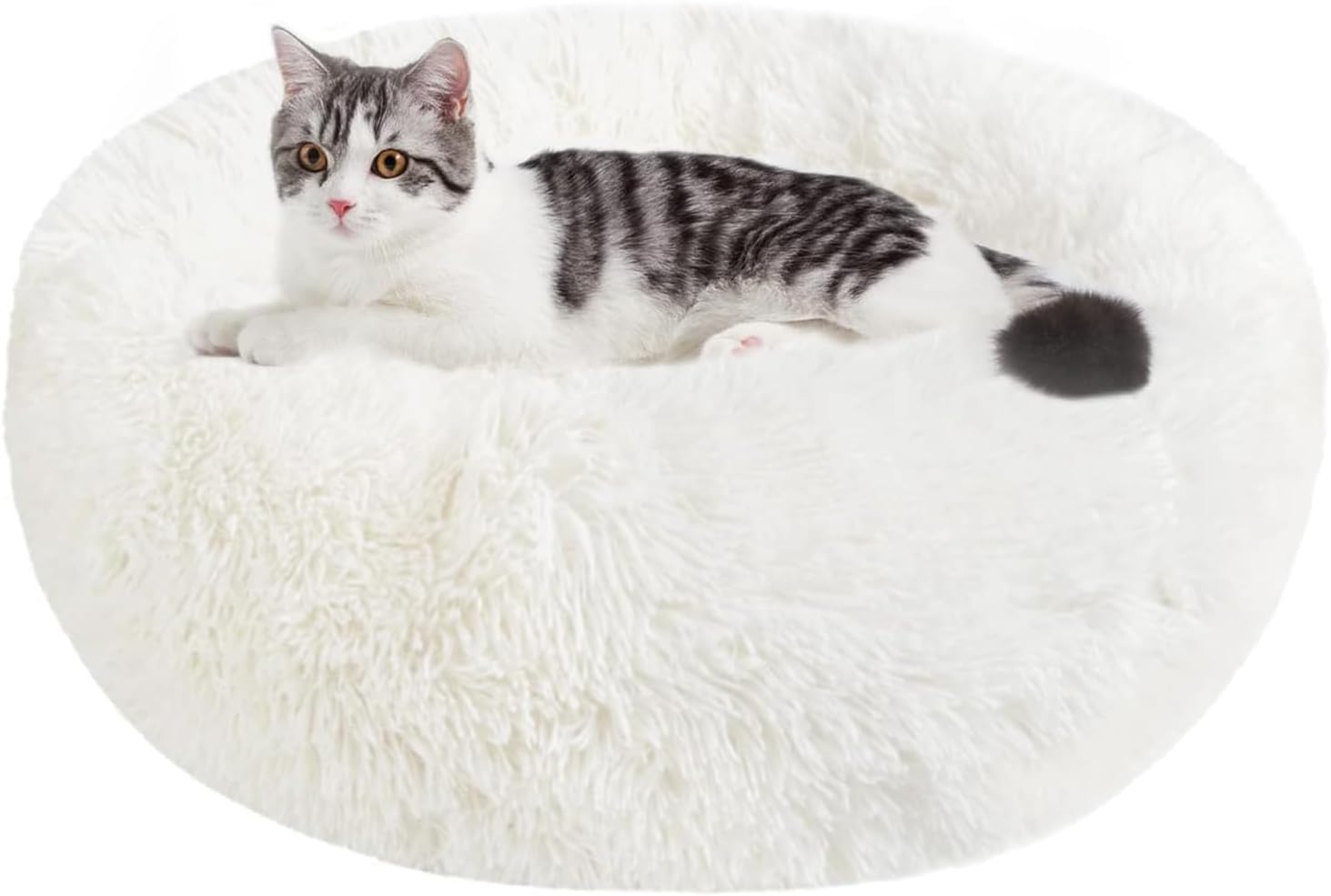 Calming Dog and Cat Bed Donut - 19.7'' Dog Bed Small, Fluffy Cat Anti Anxiety Beds for Indoor Cats, Washable Pet Bed with Non-Skid Bottom for Dogs and Cats, Light Grey M(19.7in/50cm)