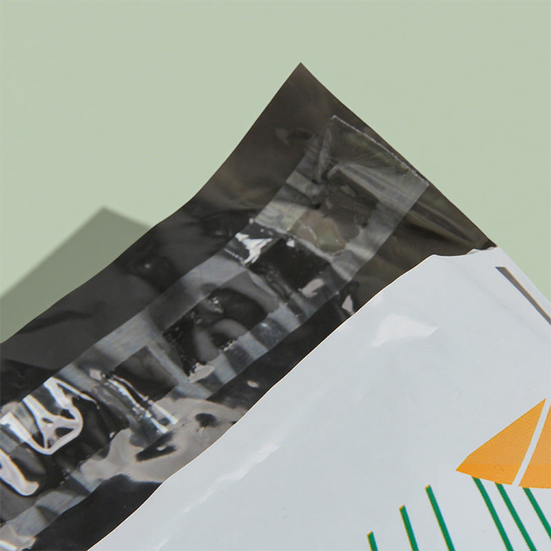 100pcs Poly Mailer | Tear Resistant Eco Friendly PE Bag | Ready Stock | Sinicline
